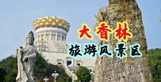 日本美女逼逼一级视频中国浙江-绍兴大香林旅游风景区